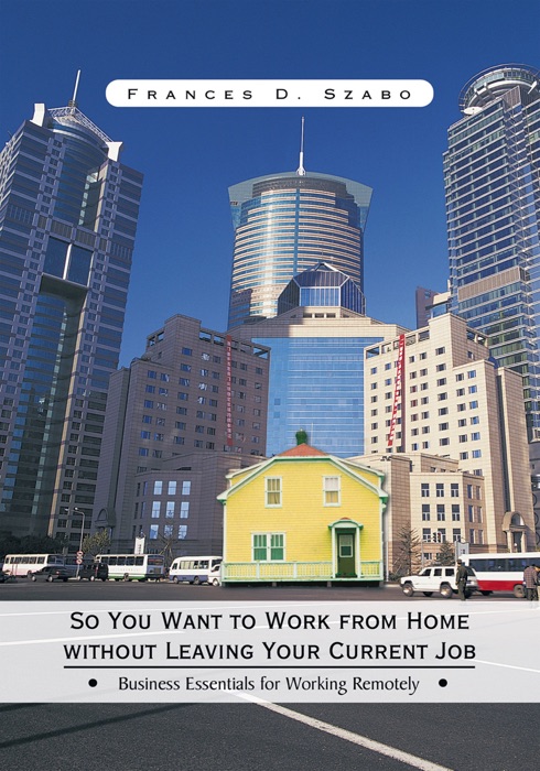 So You Want to Work from Home Without Leaving Your Current Job