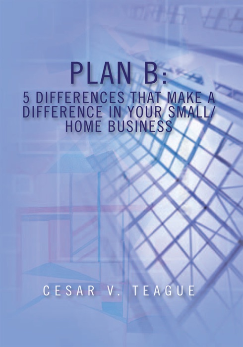 Plan B: 5 Differences That Make a Difference in Your Small/Home Business