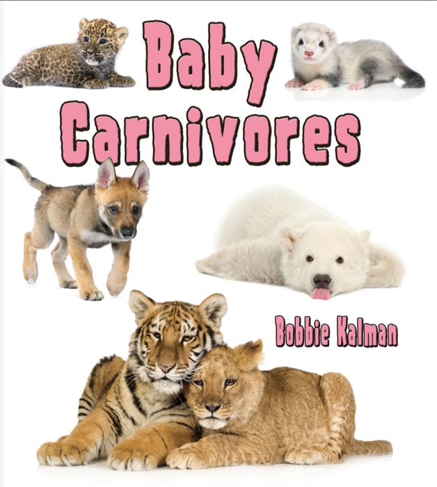 Baby Carnivores