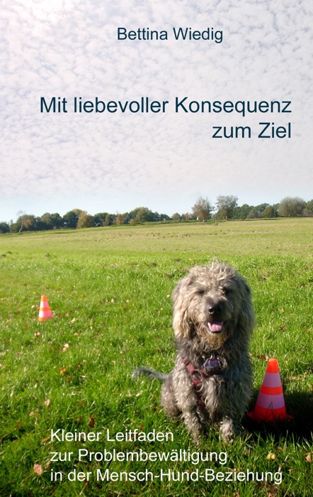 Mit liebevoller Konsequenz zum Ziel