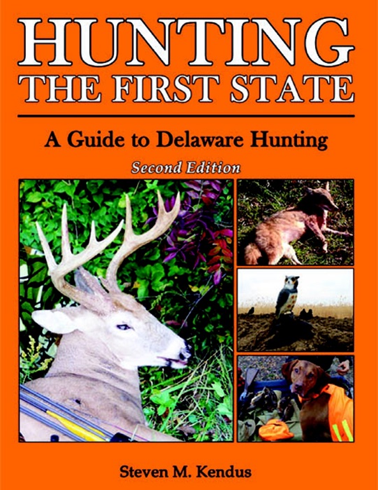 Hunting the First State