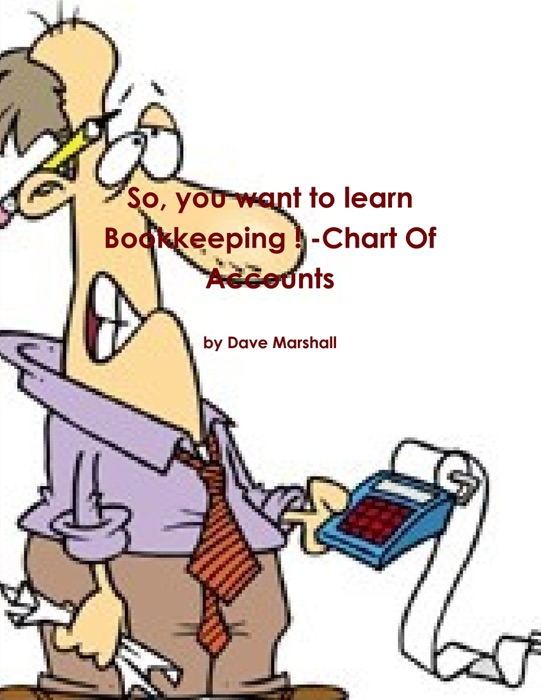 So, You Want to Learn Bookkeeping !