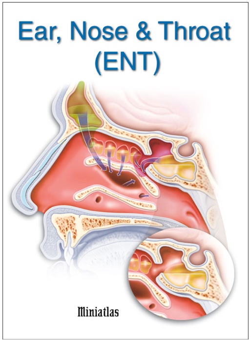 Ear, Nose & Throat (ENT) Miniatlas