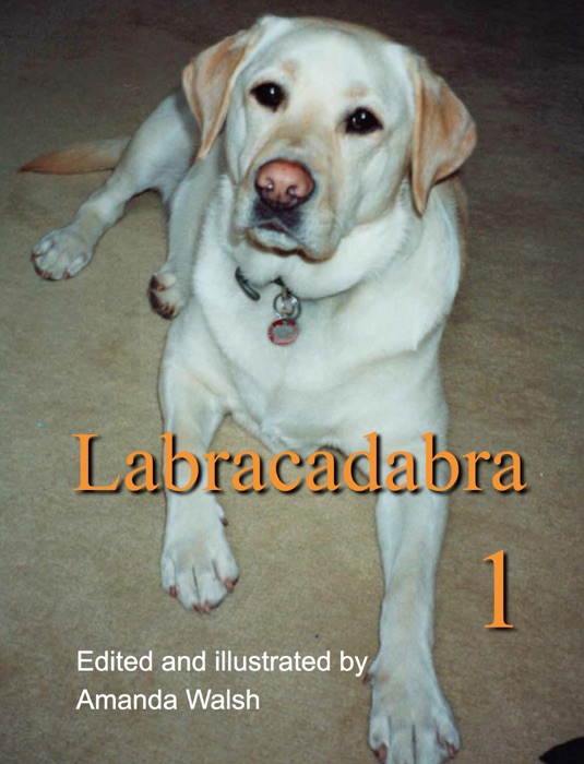 Labracadabra 1