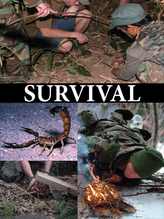 SURVIVAL