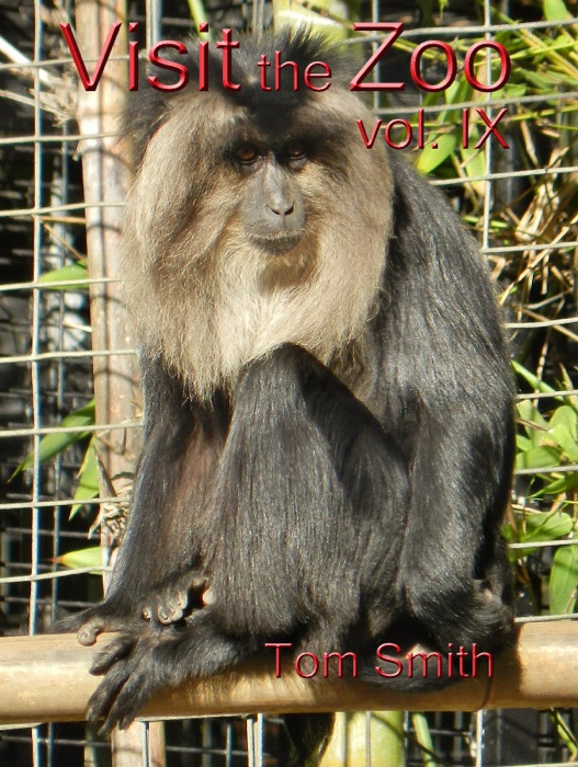 Visit the Zoo