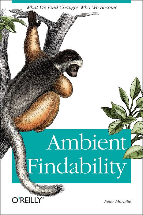 Ambient Findability