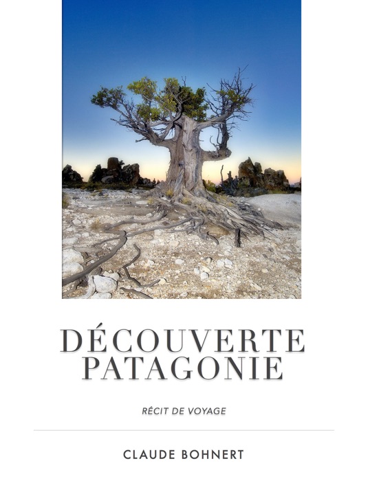 Découverte Patagonie