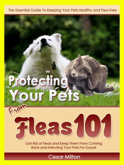 Protecting Your Pets from Fleas 101