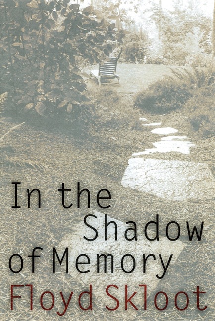 In the Shadow of Memory