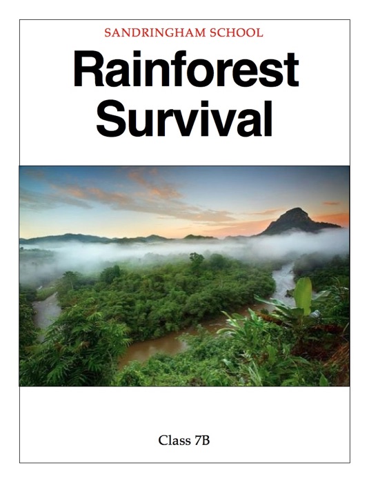 Rainforest Survival