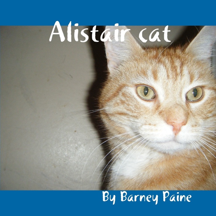 Alistair Cat