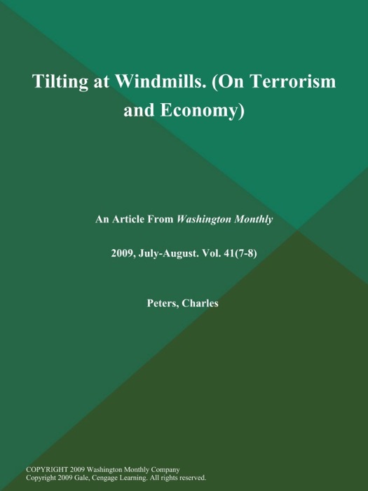 Tilting at Windmills (On Terrorism and Economy)