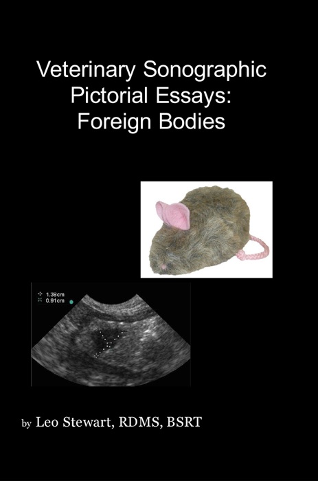 Veterinary Sonographic Pictorial Essays: Foreign Bodies