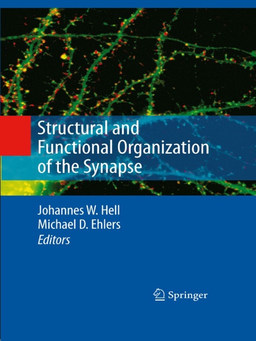 Structural and Functional Organization of the Synapse