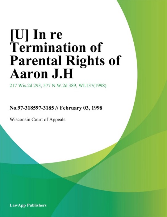In Re Termination of Parental Rights of Aaron J.H.