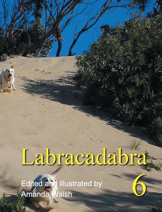 Labracadabra 6