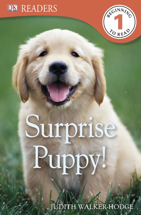 DK Readers L1: Surprise Puppy (Enhanced Edition)