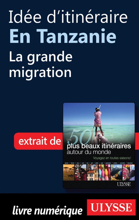 Idée d'itinéraire en Tanzanie - La grande migration