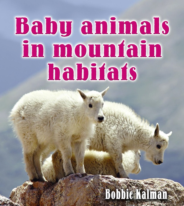 Baby animals in mountain habitats