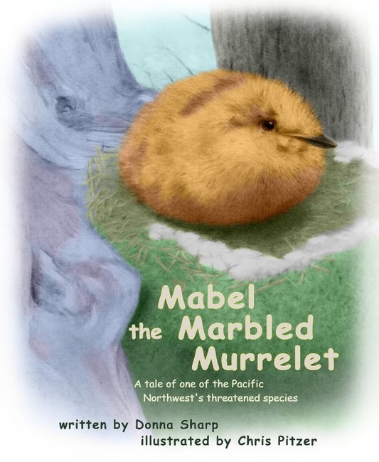 Mabel the Marbled Murrelet
