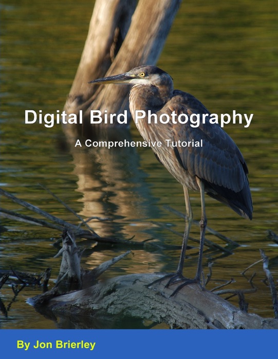 Digital Bird Photography