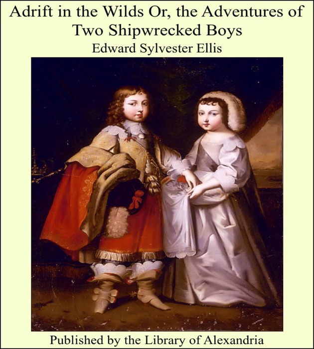 Adrift In the Wilds or, the Adventures of Two Shipwrecked Boys