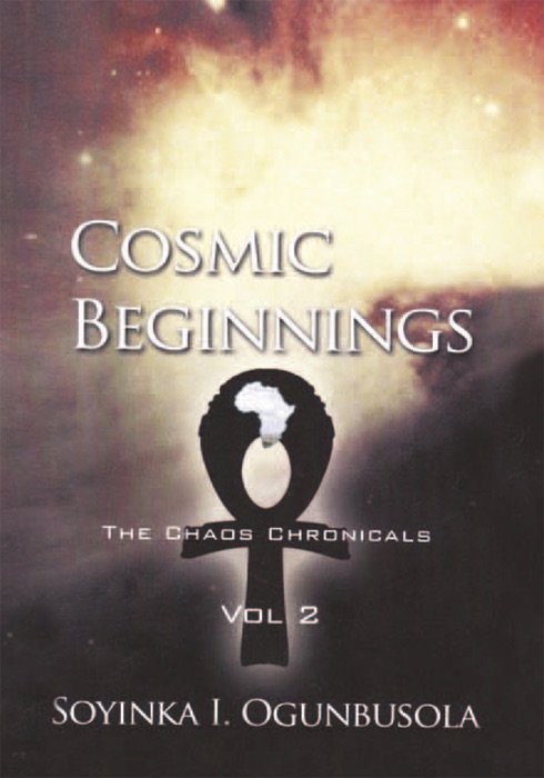 Cosmic Beginnings