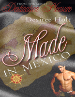 Desiree Holt - Made in Mexico artwork