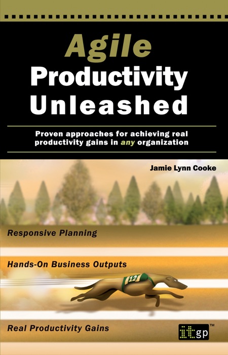 Agile Productivity Unleashed