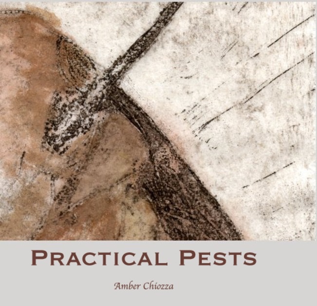 Practical Pests