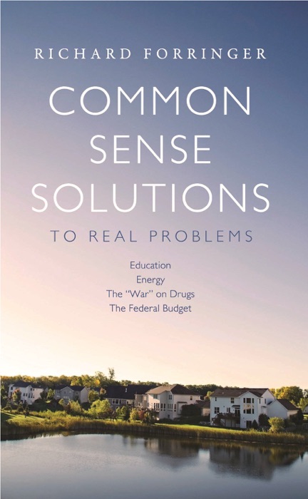 Common Sense Solutions to Real Problems