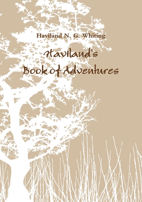 Haviland's Book of Adventures