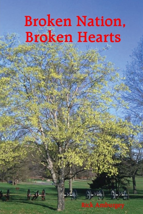 Broken Nation, Broken Hearts