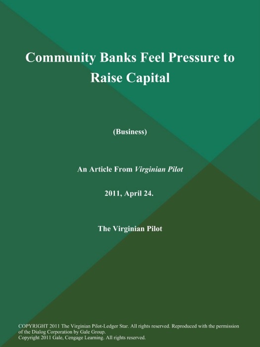 Community Banks Feel Pressure to Raise Capital (Business)