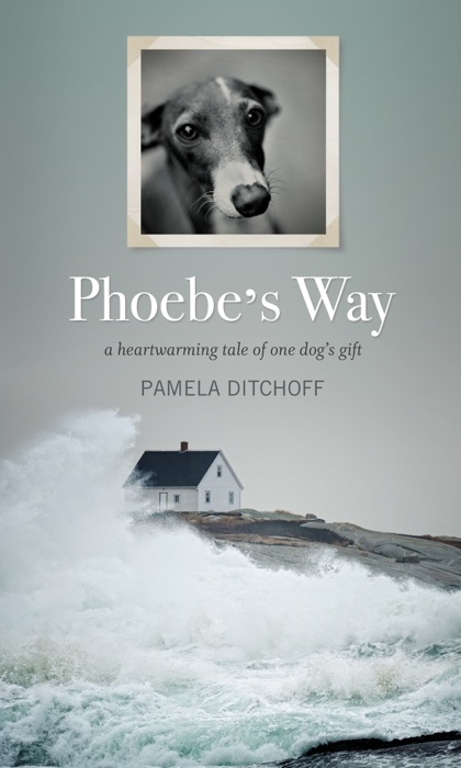 Phoebe’s Way