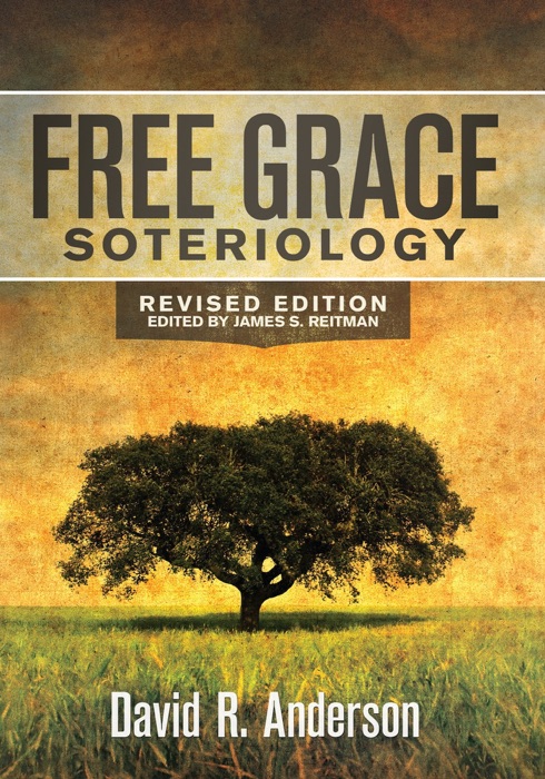 Free Grace Soteriology