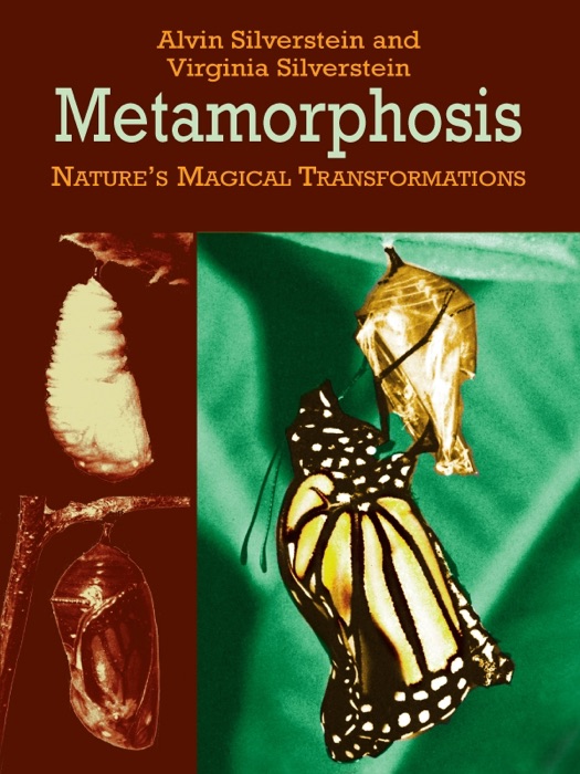 Metamorphosis: Nature's Magical Transformations