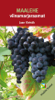 Maalehe viinamarjaraamat - Jaan Kivistik