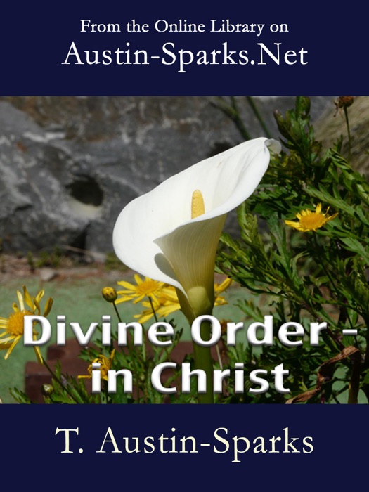 Divine Order - In Christ