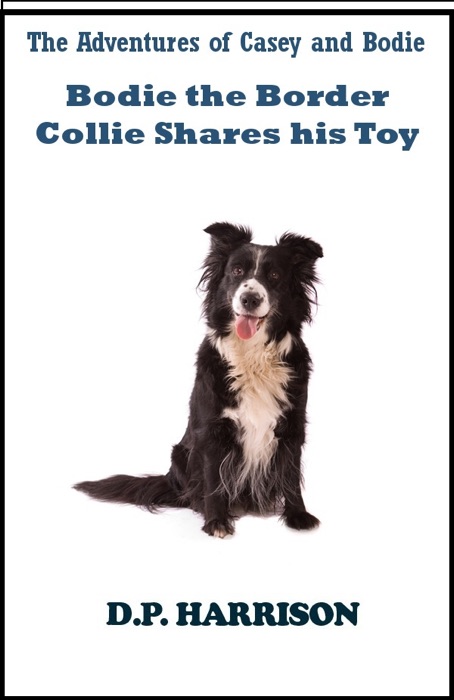 Bodie the Border Collie Shares His Toy