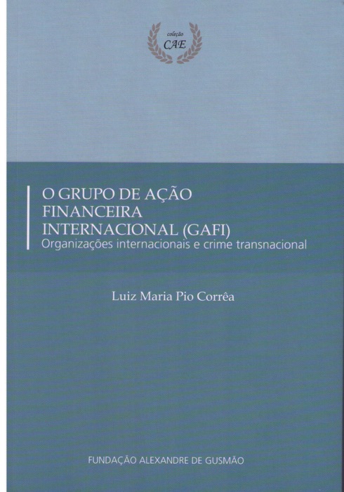 O grupo de ação financeira internacional (GAFI)