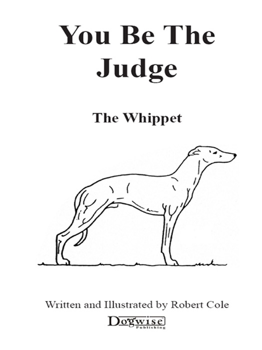 You Be the Judge - the Whippet