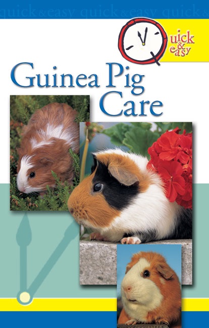 Quick and Easy Guinea Pig Care