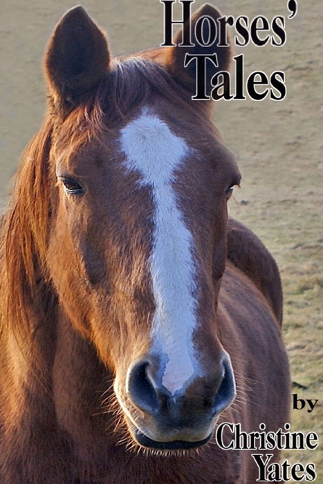 Horses' Tales