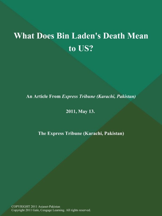 What Does Bin Laden's Death Mean to US?