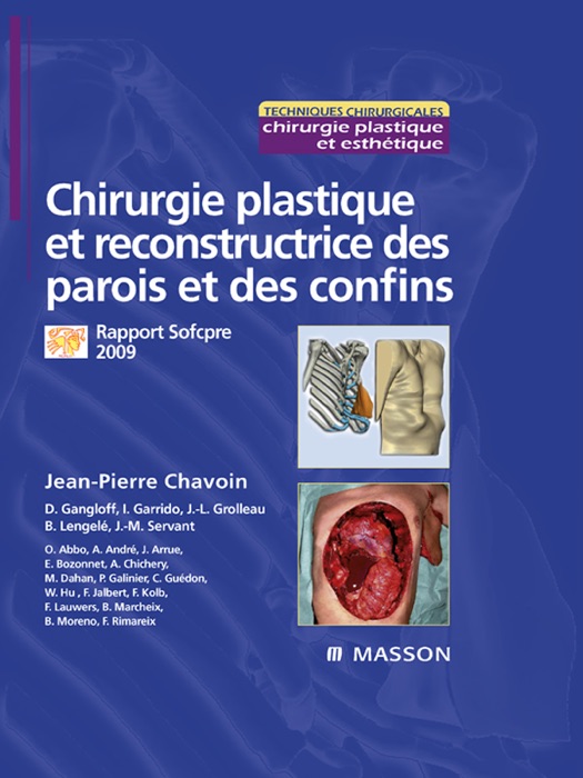 Chirurgie plastique et reconstructrice des parois et des confins