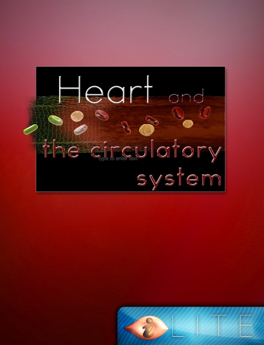 Heart and circulatory system