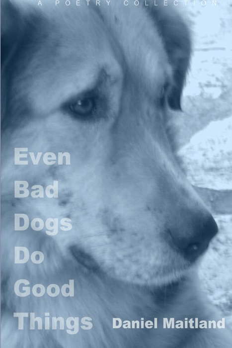 Even Bad Dogs Do Good Things