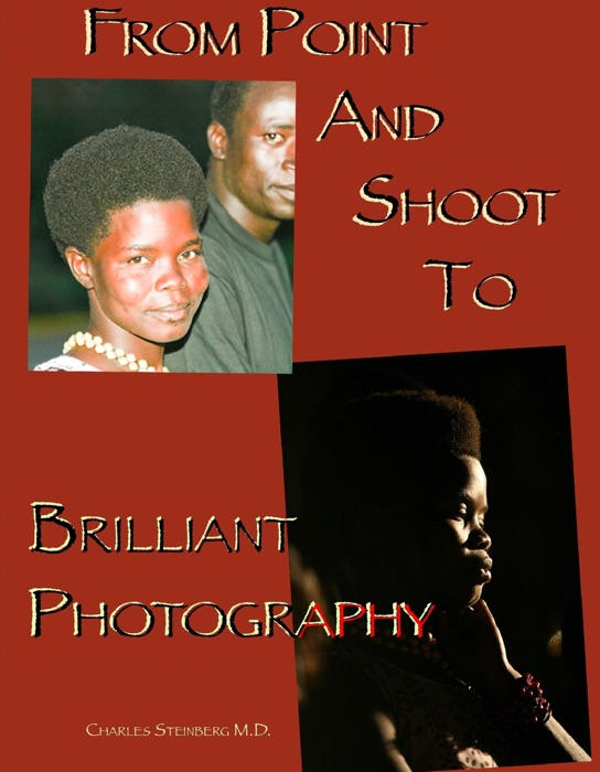 Point and Shoot to Brilliant Photography